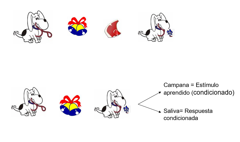 El Ser Humano y las Organizaciones. Conceptualización de Desarrollo Humano. Indicadores del Desarrollo Humano