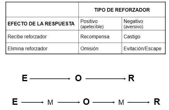 El Ser Humano y las Organizaciones. Conceptualización de Desarrollo Humano. Indicadores del Desarrollo Humano