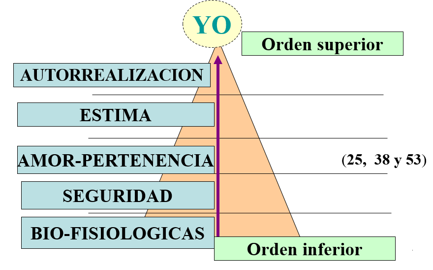 Desarrollo y Competitividad. Globalización e interculturalidad. Diversidad Cultural.