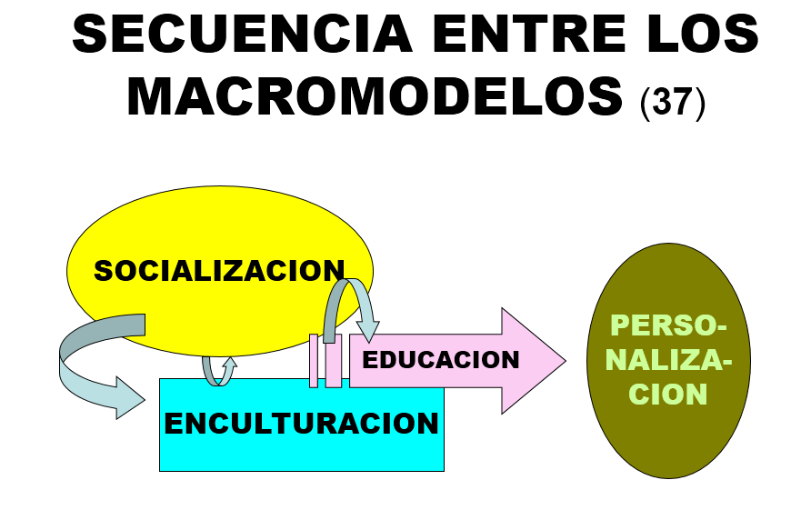 Desarrollo y Competitividad. Globalización e interculturalidad. Diversidad Cultural.