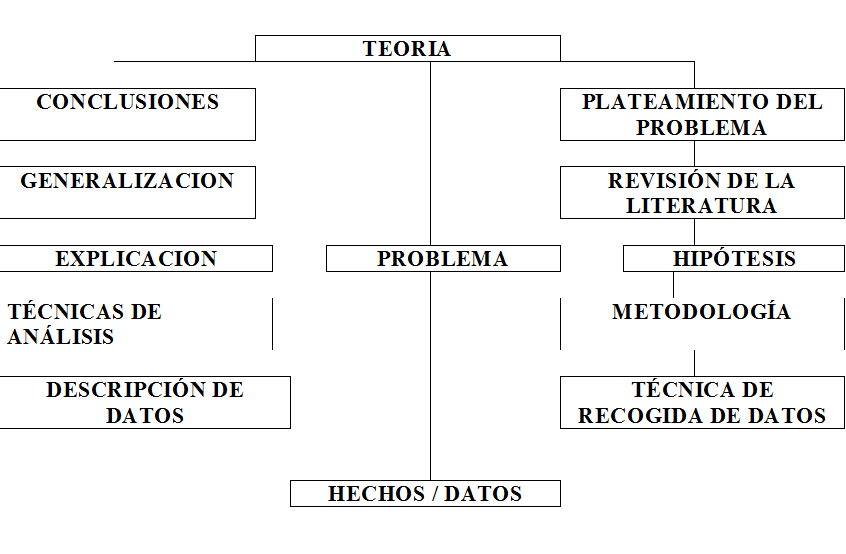 Etapas del proceso de investigación.