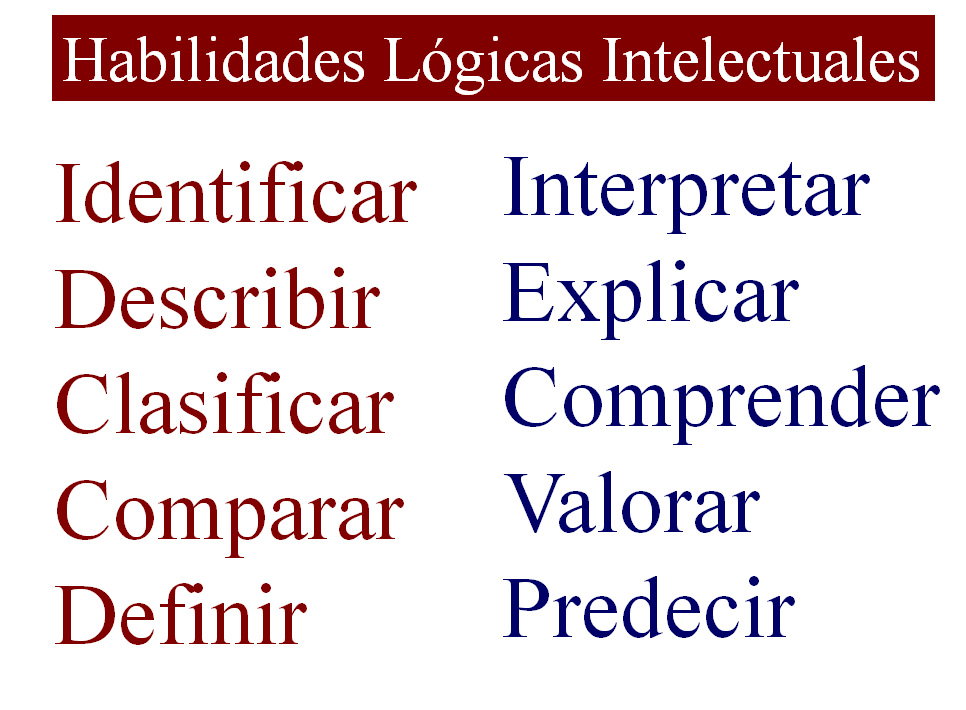 Etapas del proceso de investigación.