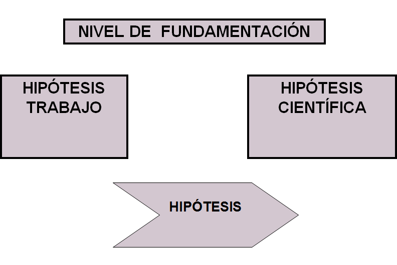 Etapas del proceso de investigación.