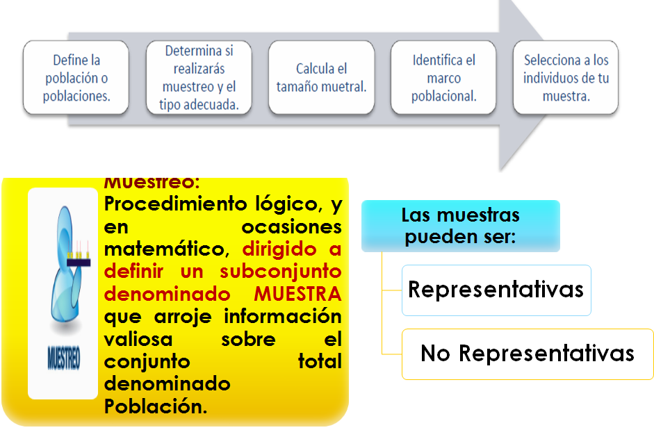 Muestreo determinístico. Tamaño de la muestra