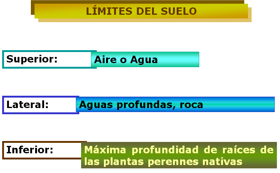 Introducción a la ciencia del suelo. Pedología. Edafología. División de la Ciencia del Suelo. Relación con otras ciencias. Conceptos básicos.