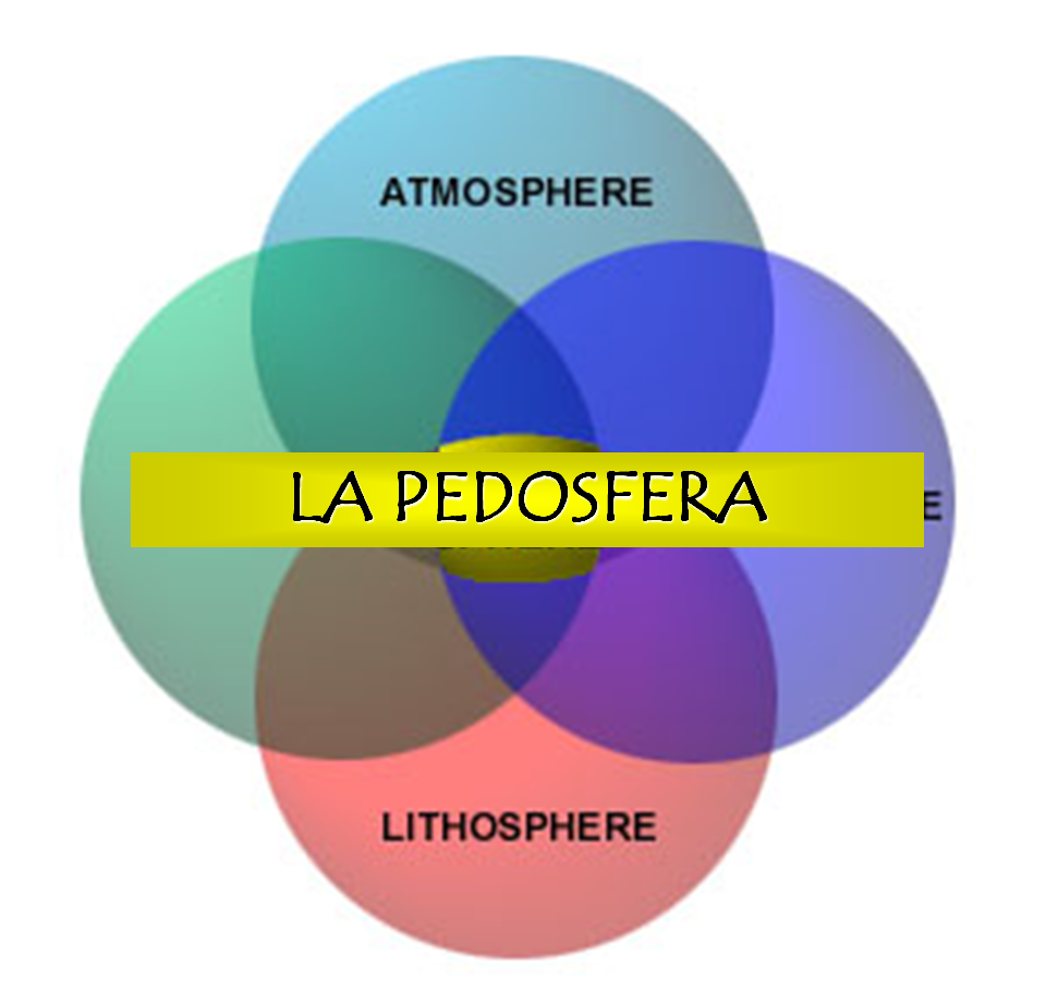 Introducción a la ciencia del suelo. Pedología. Edafología. División de la Ciencia del Suelo. Relación con otras ciencias. Conceptos básicos.