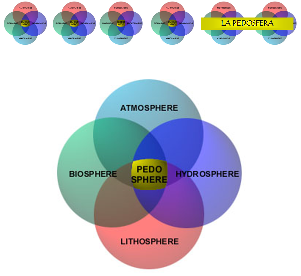 Introducción a la ciencia del suelo. Pedología. Edafología. División de la Ciencia del Suelo. Relación con otras ciencias. Conceptos básicos.