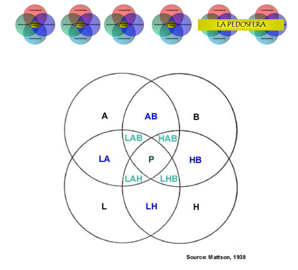 Introducción a la ciencia del suelo. Pedología. Edafología. División de la Ciencia del Suelo. Relación con otras ciencias. Conceptos básicos.