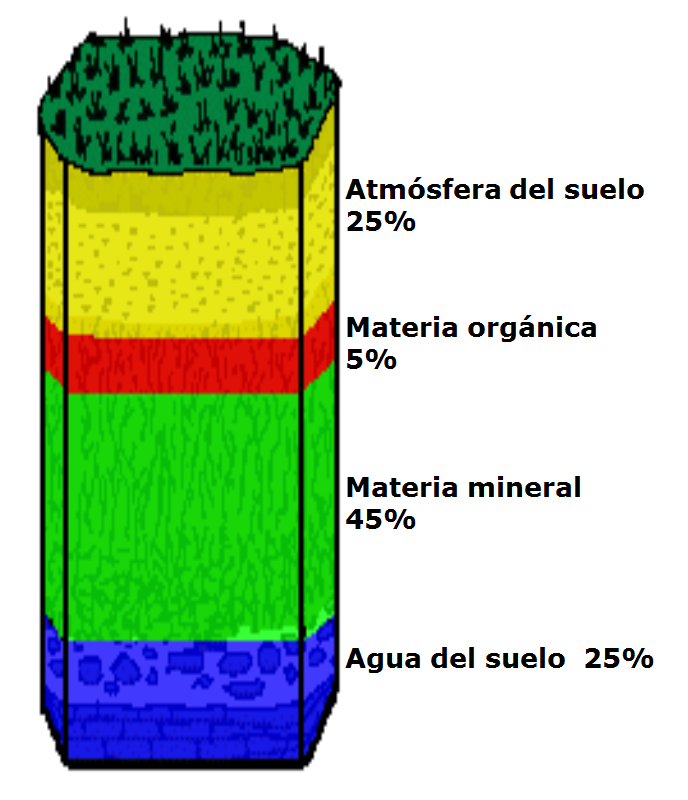 Introducción a la ciencia del suelo. Pedología. Edafología. División de la Ciencia del Suelo. Relación con otras ciencias. Conceptos básicos.