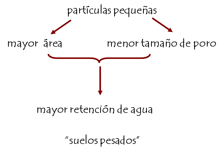 Introducción a la ciencia del suelo. Pedología. Edafología. División de la Ciencia del Suelo. Relación con otras ciencias. Conceptos básicos.