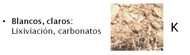 Introducción a la ciencia del suelo. Pedología. Edafología. División de la Ciencia del Suelo. Relación con otras ciencias. Conceptos básicos.