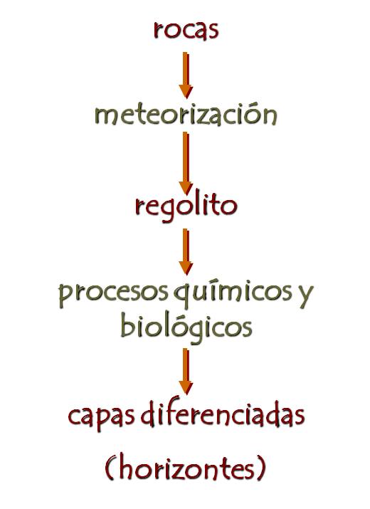 Introducción a la ciencia del suelo. Pedología. Edafología. División de la Ciencia del Suelo. Relación con otras ciencias. Conceptos básicos.