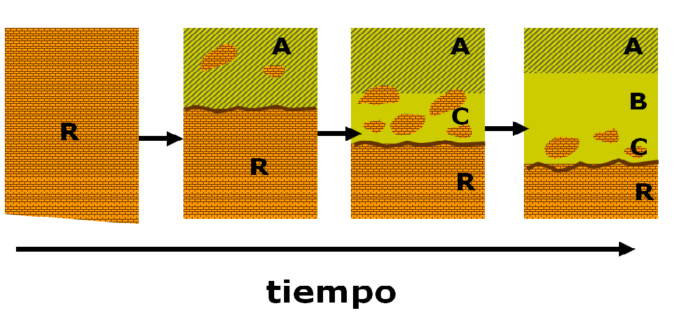 Introducción a la ciencia del suelo. Pedología. Edafología. División de la Ciencia del Suelo. Relación con otras ciencias. Conceptos básicos.