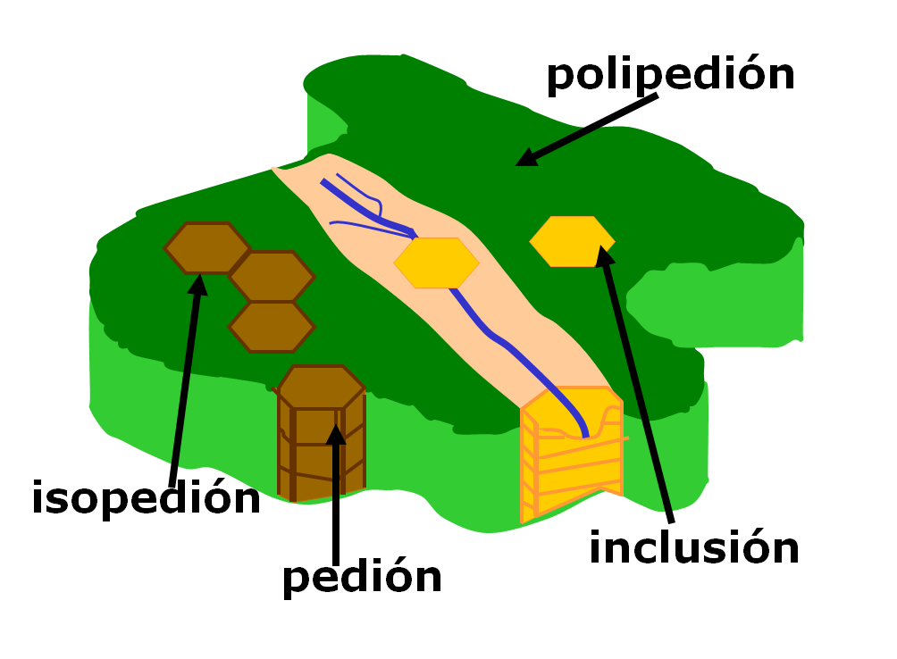 Introducción a la ciencia del suelo. Pedología. Edafología. División de la Ciencia del Suelo. Relación con otras ciencias. Conceptos básicos.