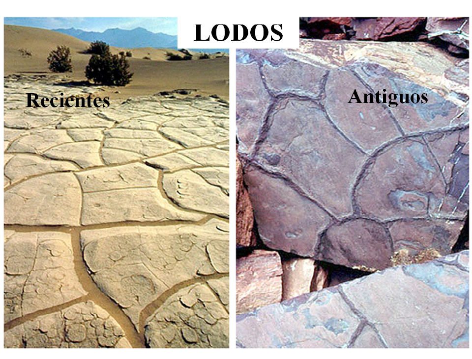 Meteorización de rocas: Tipos de meteorización y edafizacion.