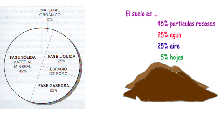 Factores de formación de suelos: Material parental, organismos vivos, clima, relieve y tiempo.