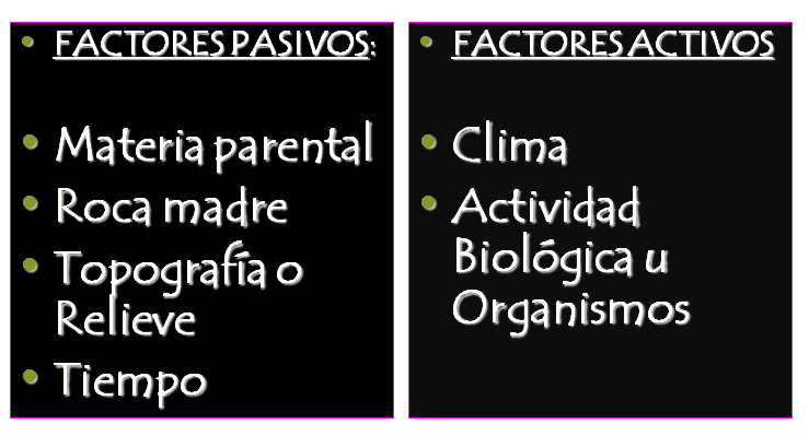 Procesos de formación de suelos: Adiciones, pérdidas, translocación y transformación. 