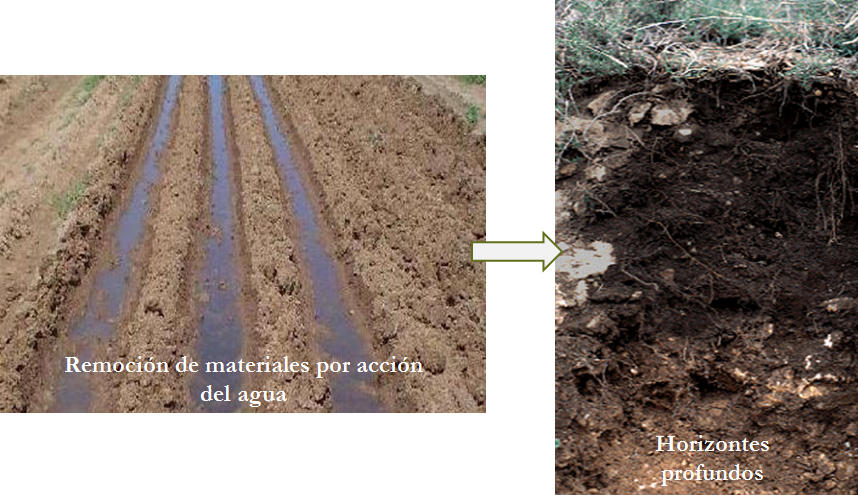 Procesos de formación de suelos: Adiciones, pérdidas, translocación y transformación. 