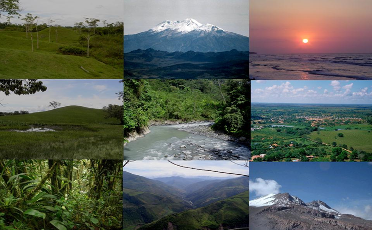 El perfil del suelo Horizontes genéticos y capas: Horizontes principales. Subhorizontes.
