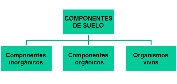 Horizontes transicionales: Distinciones subordinadas