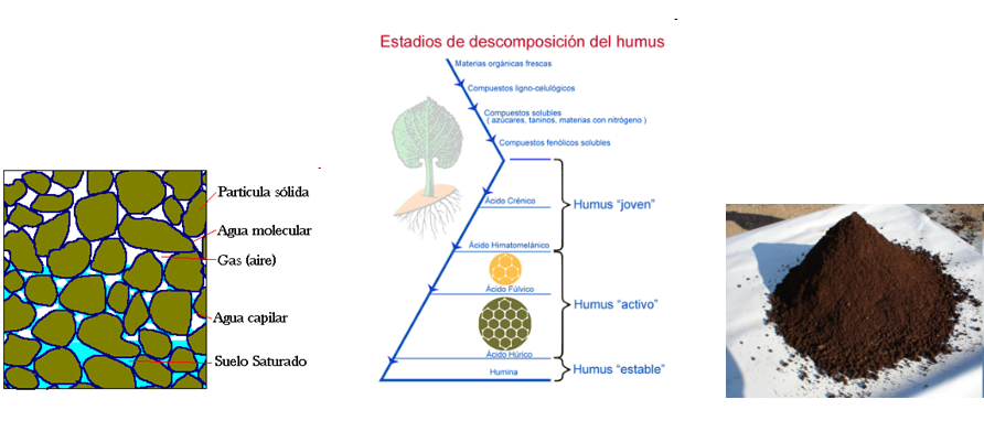Horizontes transicionales: Distinciones subordinadas