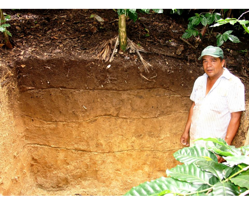 Horizontes transicionales: Distinciones subordinadas