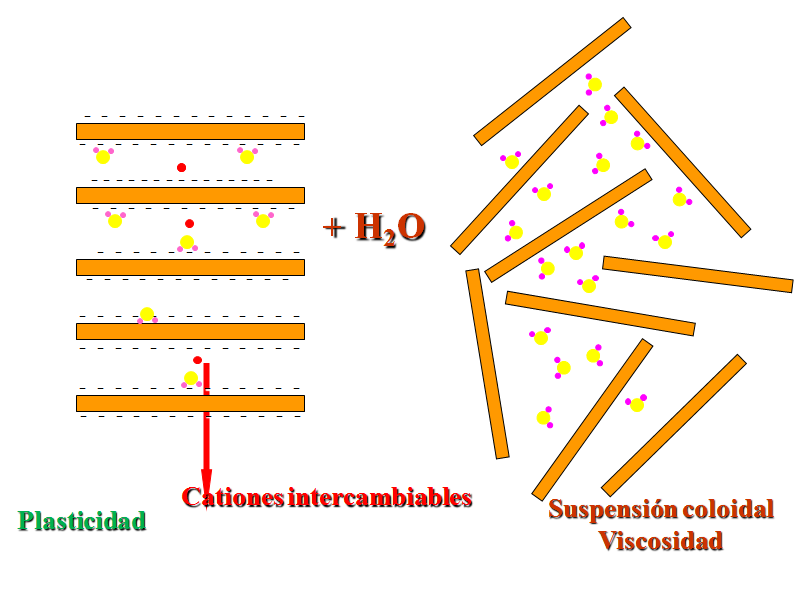 Horizontes transicionales: Distinciones subordinadas