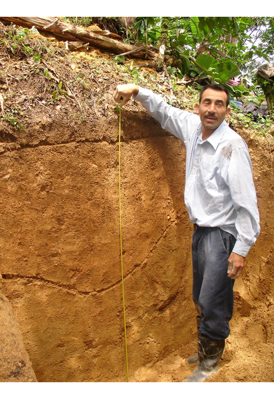 Horizontes transicionales: Distinciones subordinadas
