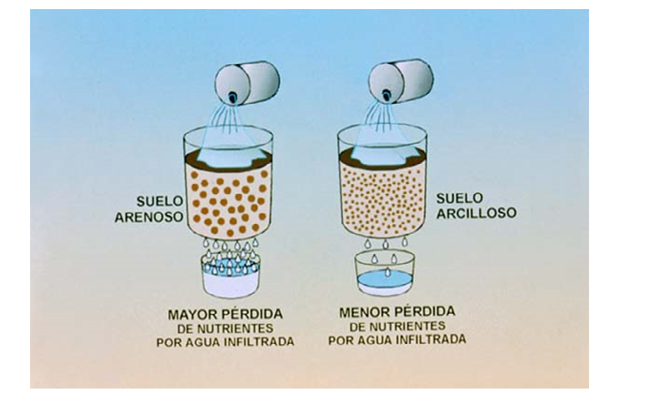 Propiedades físicas: textura, estructura, consistencia.