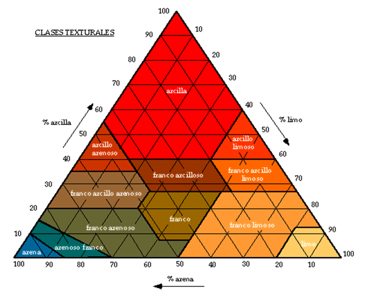Propiedades físicas: textura, estructura, consistencia.