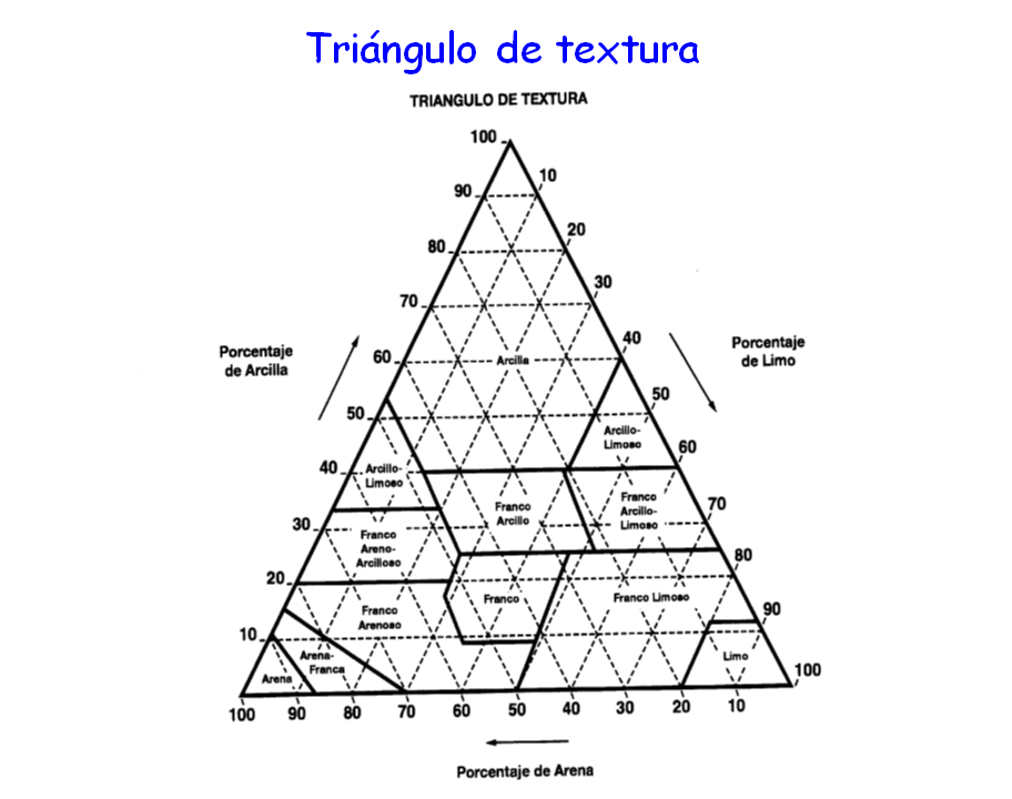 Propiedades físicas: textura, estructura, consistencia.