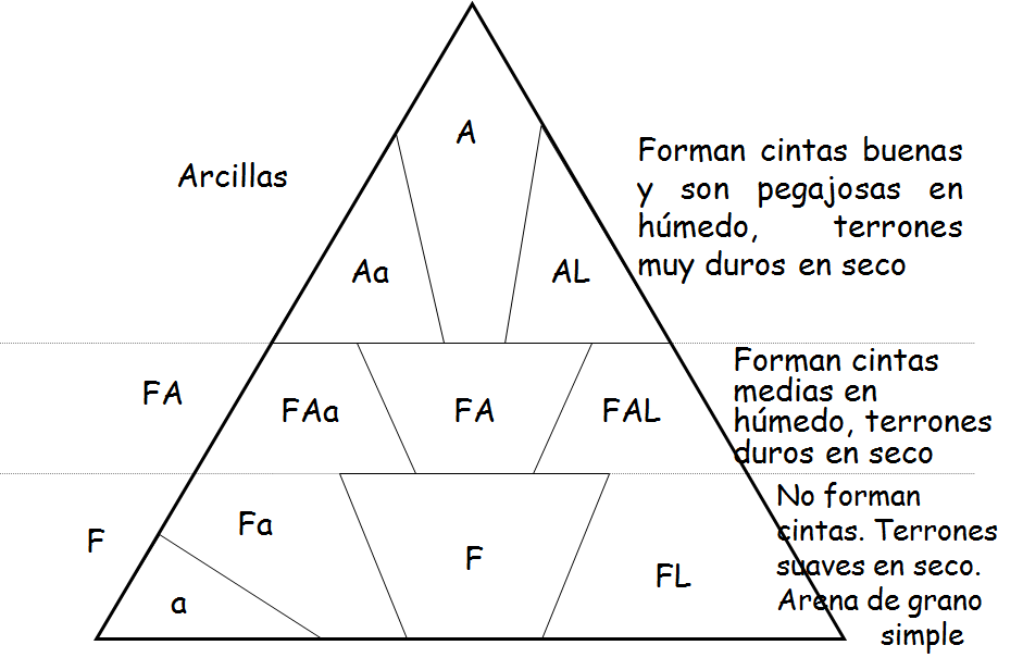 Propiedades físicas: textura, estructura, consistencia.
