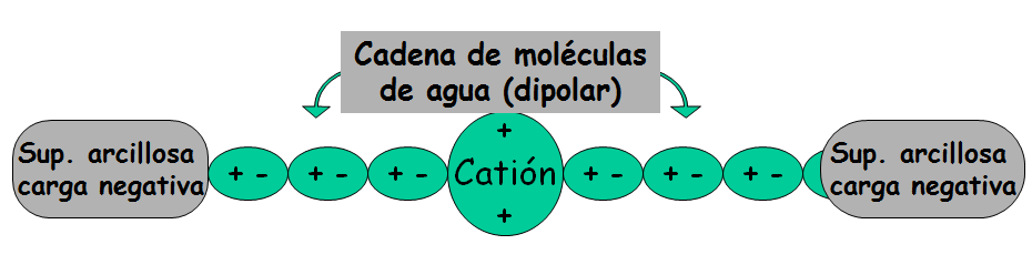 Propiedades físicas: textura, estructura, consistencia.