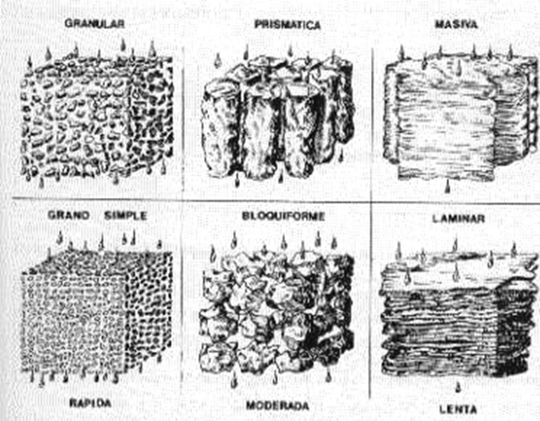 Propiedades físicas: textura, estructura, consistencia.