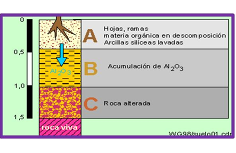 Propiedades químicas: Elementos del suelo, CIC, Reacción del suelo y conductividad eléctrica.