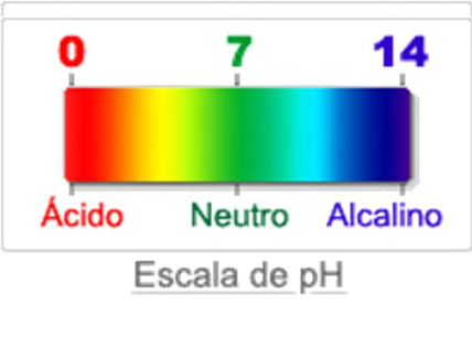 Propiedades químicas: Elementos del suelo, CIC, Reacción del suelo y conductividad eléctrica.