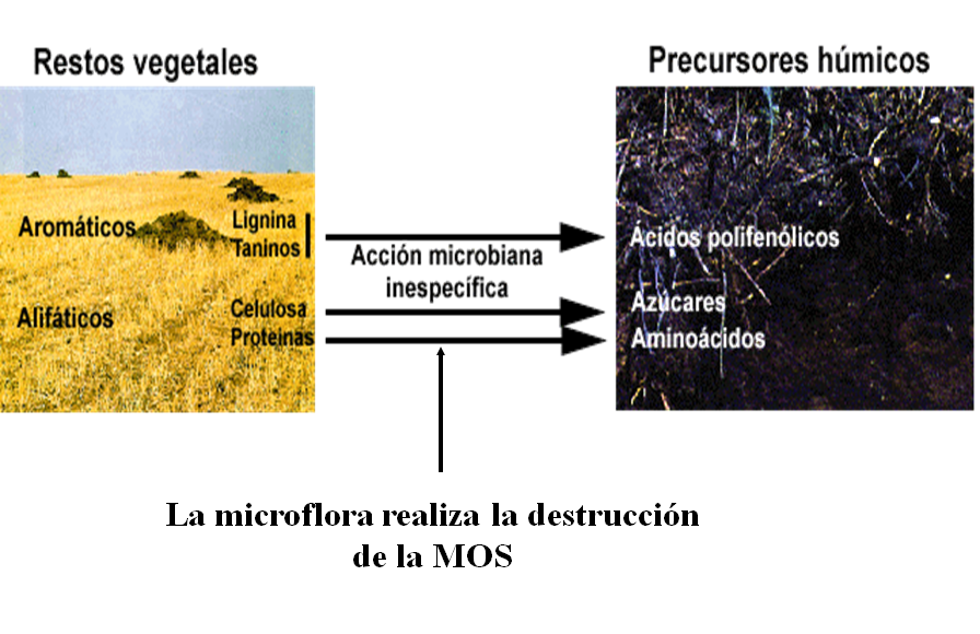 Propiedades físicas: densidad, porosidad, color, temperatura, humedad.