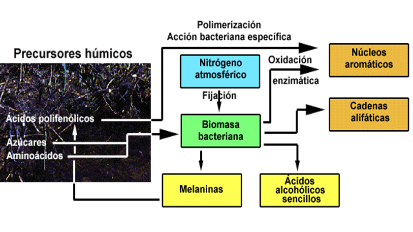 Propiedades físicas: densidad, porosidad, color, temperatura, humedad.