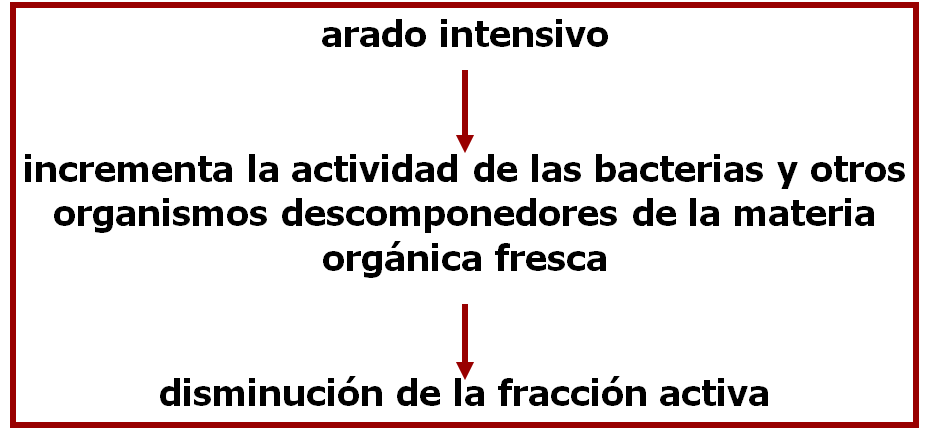 Propiedades bio orgánicas del suelo: biota del suelo, materia orgánica e importancia en el suelo. Gabinete: Reconocimiento de propiedades físicas del suelos.