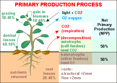 Propiedades bio orgánicas del suelo: biota del suelo, materia orgánica e importancia en el suelo. Gabinete: Reconocimiento de propiedades físicas del suelos.