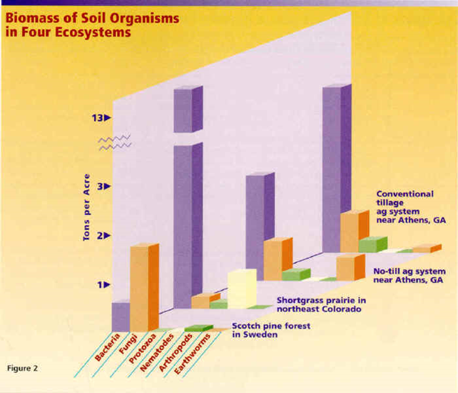 Propiedades bio orgánicas del suelo: biota del suelo, materia orgánica e importancia en el suelo. Gabinete: Reconocimiento de propiedades físicas del suelos.