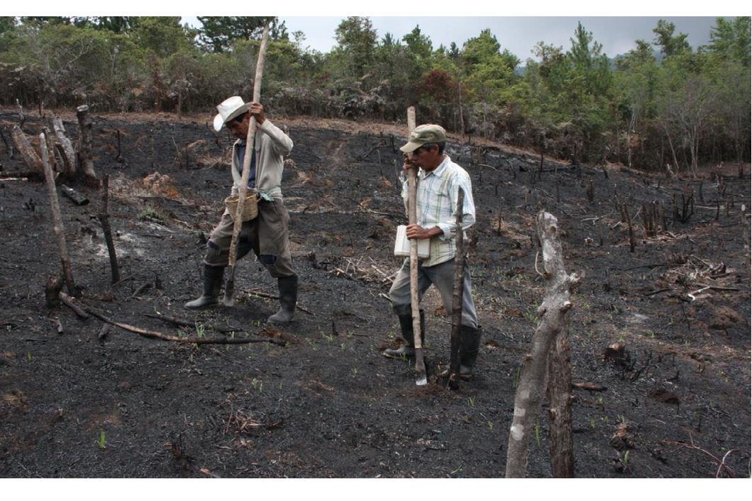 Prácticas de manejo y conservación de suelos. Salida a campo: Reconocimiento de tipos de suelos en sierra y selva.