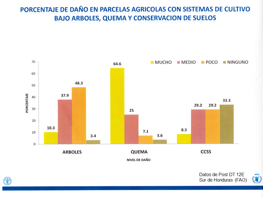 Prácticas de manejo y conservación de suelos. Salida a campo: Reconocimiento de tipos de suelos en sierra y selva.
