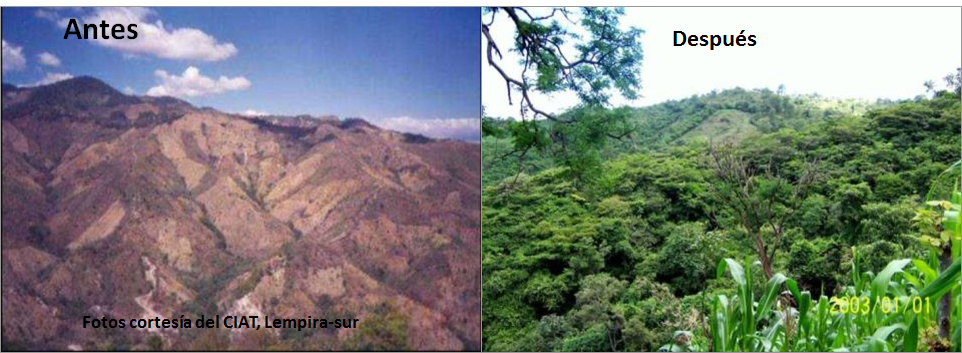 Prácticas de manejo y conservación de suelos. Salida a campo: Reconocimiento de tipos de suelos en sierra y selva.