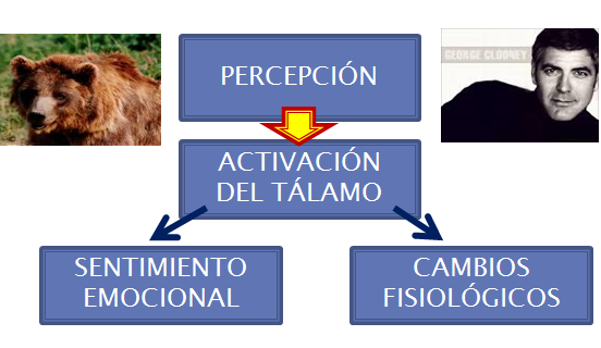 Autoestima. Autoeficacia