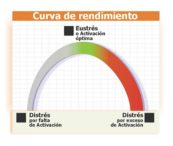 Gestión del Estrés. El estrés: Definición, causas y consecuencias.