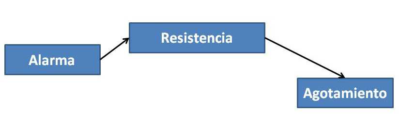 Gestión del Estrés. El estrés: Definición, causas y consecuencias.