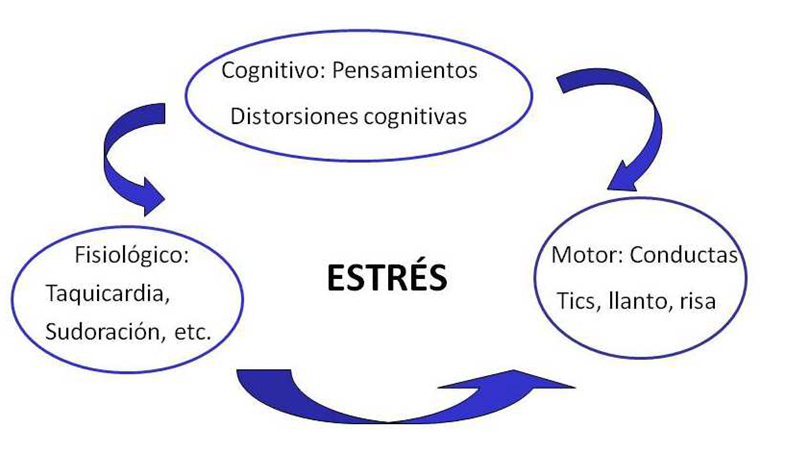 Gestión del Estrés. El estrés: Definición, causas y consecuencias.