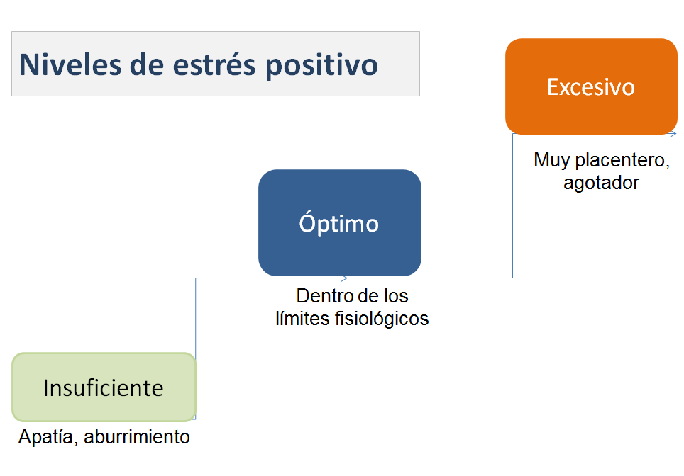 Gestión del Estrés. SAP (Síndrome de Agotamiento Profesional).