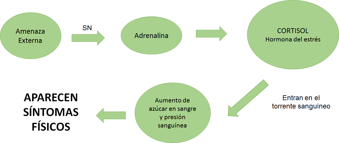 Gestión del Estrés. SAP (Síndrome de Agotamiento Profesional).
